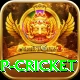 2022 world cup cricket Apps (Tools & Injectors) Elite v4.8.5