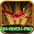 aaron finch King Casino App