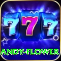 andy flower Elite Pro v5.8.2