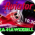 antigua hawksbill Gold Pro v2.6.9
