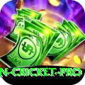 australian cricket - Slots King