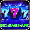bbl big bash apk Turbo Pro v1.2.8