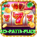 Bingo Patti - Prime Earning App