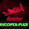 bingopkr Apps (Tools & Injectors) Gold v1.1.7