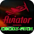 cricket pitch VIP Pro v3.9.6