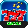 crickex Gold Pro vv5.6.5