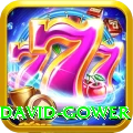 david gower Elite Pro v1.2.5