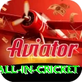 fastest ball in cricket Deluxe Pro v5.8.5