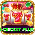fastest ball in cricket - Casino Premium