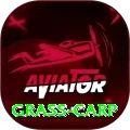 grass carp VIP Edition v3.1.2