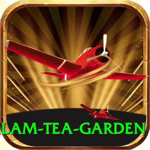hile ilam tea garden Premium Edition v3.7.7 - 2