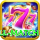 ind all match Premium Edition v5.3.0