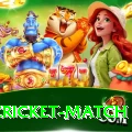 india cricket match Turbo v4.5.4