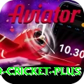 india england cricket - Prime Edition v1.2.6