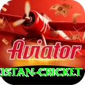 india pakistan cricket Pro Edition v4.7.0
