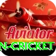 india pakistan cricket Pro Edition v4.7.0