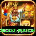india pakistan cricket match Ultimate v1.5.4