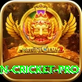 india pakistan cricket Pro Casino App