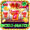 international cricket match Master Pro v3.7.8