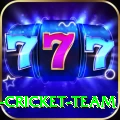 ireland cricket team Gold Pro v3.4.8
