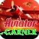 joel garner Apps (Tools & Injectors) Turbo v1.7.6
