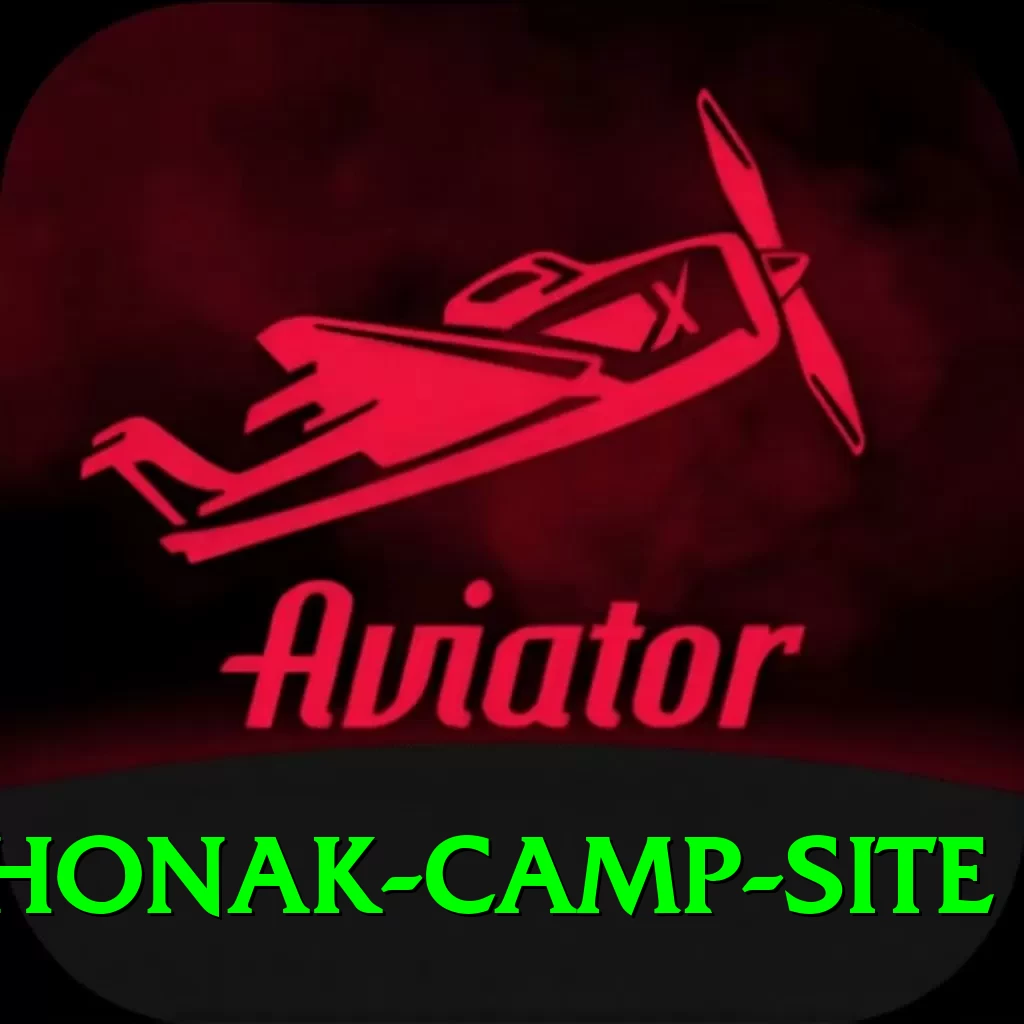 lhonak camp site VIP v4.9.6 - 2