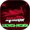 lungi ngidi Pro1 v1.3.8