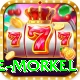 morne morkel Pro Edition v5.9.4