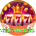 most test wickets Deluxe Edition v5.0.0