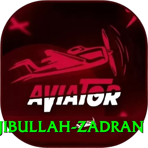 najibullah zadran Pro Edition v2.4.8 - 2