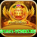 naseem shah yorkers Apps (Tools & Injectors) Turbo v1.9.8
