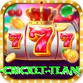 new zealand cricket team Master Pro v4.3.3
