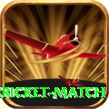 next cricket match Deluxe v2.5.0