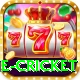one cricket Gold v2.5.2
