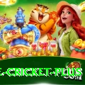 one cricket APK Master v1.4.2