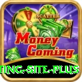 Pakistan Betting Site - Slots Royal