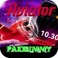 pakrummy Pro v1.9.6
