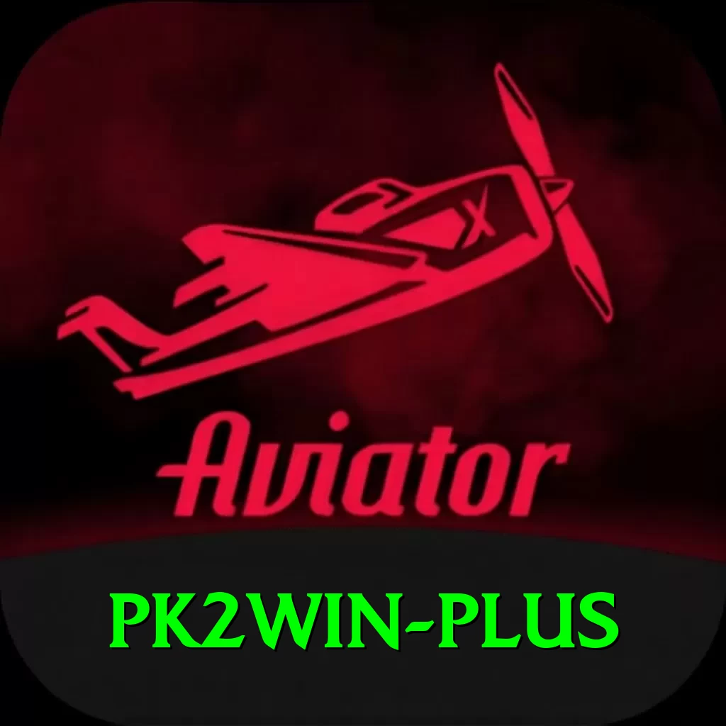 pk2win VIP Edition v2.0.4 - 2