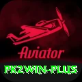 pk2win VIP Edition v2.0.4