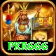 pkr666 Premium Plus v3.6.3