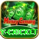 play cricket Deluxe Pro v5.9.1