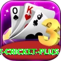 play cricket Champion - Win Real PKR