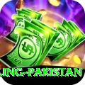 responsible gambling pakistan Max v4.9.7
