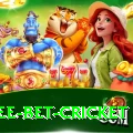 risk free bet cricket Apps (Tools & Injectors) Deluxe v1.8.1
