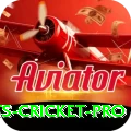 sports cricket - Slots Prime