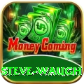 steve waugh Premium v1.0.8