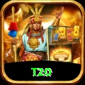 t20 Pro1 v3.2.9