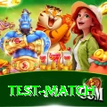 test match Premium v4.7.4