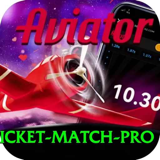 to day cricket match - Premium v5.0.7 - 2