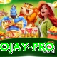 tojay Plus Edition v1.8.4